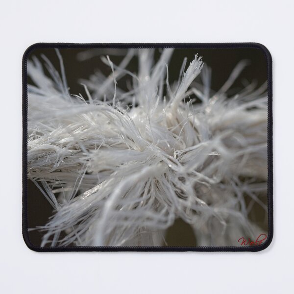 Item preview, After Rain at the Arboretum (28) designed and sold by Wolf Sverak Photography.