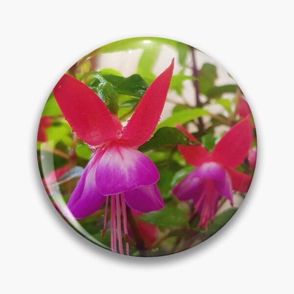 Item preview, Fushia flowers in bloom designed and sold by Blissfully-MK.