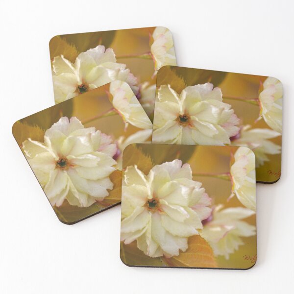 Item preview, After Rain at the Arboretum (27) designed and sold by Wolf Sverak Photography.