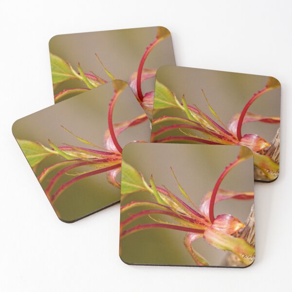 Item preview, After Rain at the Arboretum (26) designed and sold by Wolf Sverak Photography.