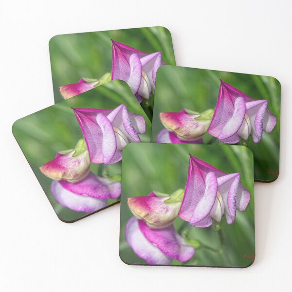 Item preview, After Rain at the Arboretum (25) designed and sold by Wolf Sverak Photography.