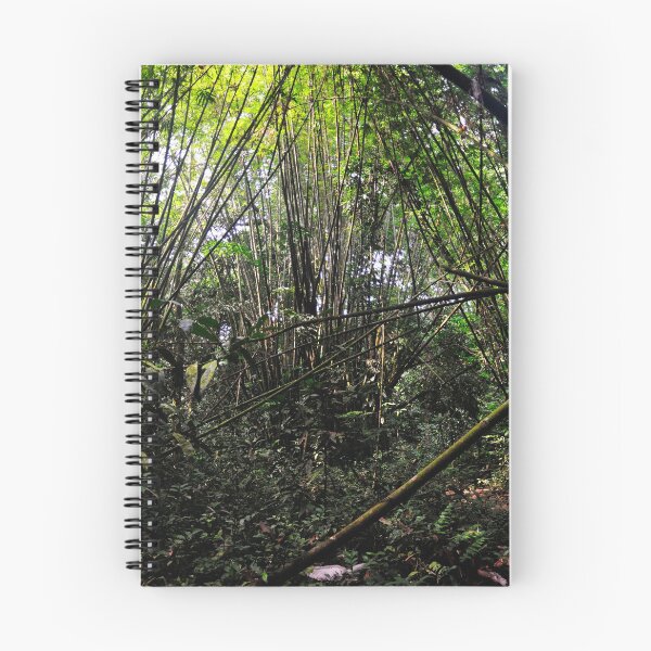 Item preview, "The Path" designed and sold by Andreas Koerner.