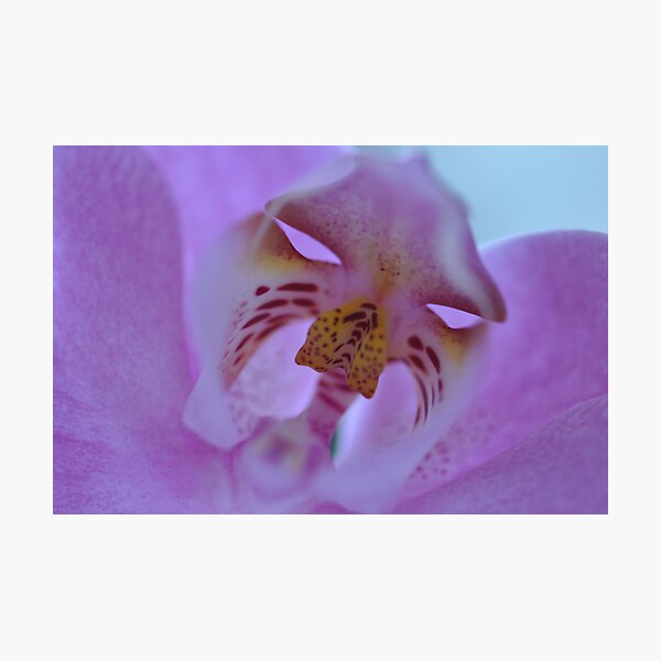 Upside Down Photographic Print