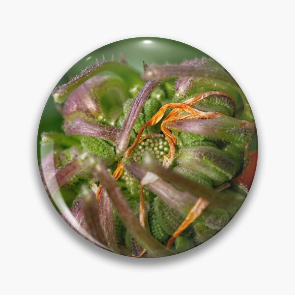Item preview, After Rain at the Arboretum (24) designed and sold by Wolf Sverak Photography.