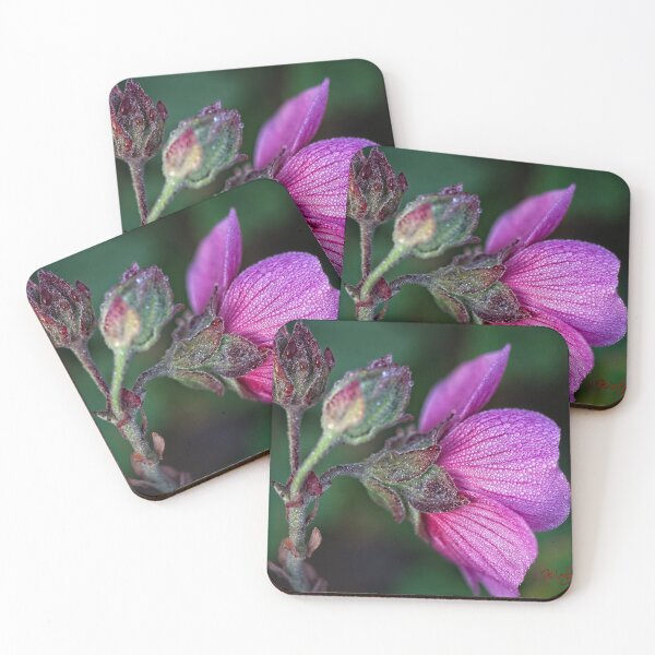 Item preview, After Rain at the Arboretum (23) designed and sold by Wolf Sverak Photography.