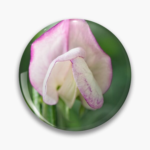 Item preview, After Rain at the Arboretum (22) designed and sold by Wolf Sverak Photography.