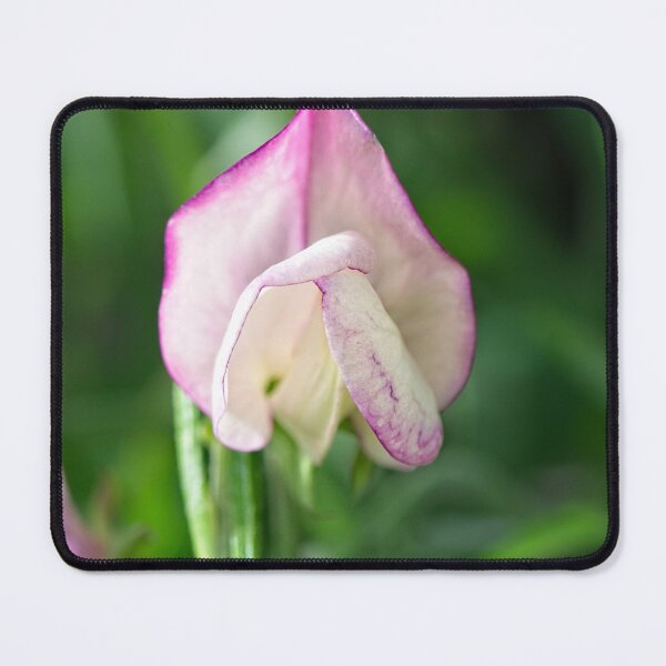 Item preview, After Rain at the Arboretum (22) designed and sold by Wolf Sverak Photography.