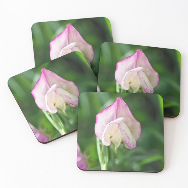 Item preview, After Rain at the Arboretum (22) designed and sold by Wolf Sverak Photography.