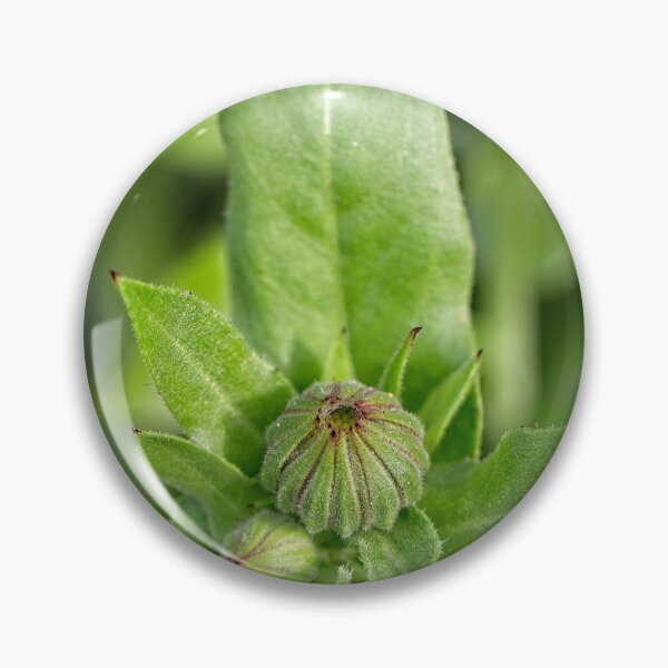 Item preview, After Rain at the Arboretum (21) designed and sold by Wolf Sverak Photography.