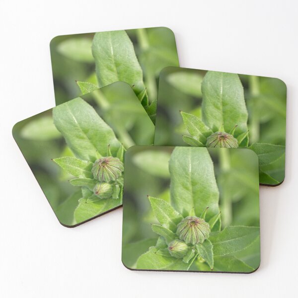 Item preview, After Rain at the Arboretum (21) designed and sold by Wolf Sverak Photography.