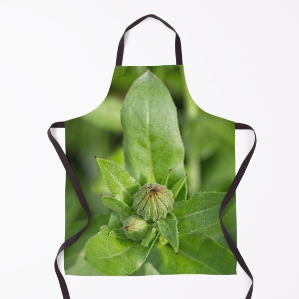 Item preview, After Rain at the Arboretum (21) designed and sold by Wolf Sverak Photography.