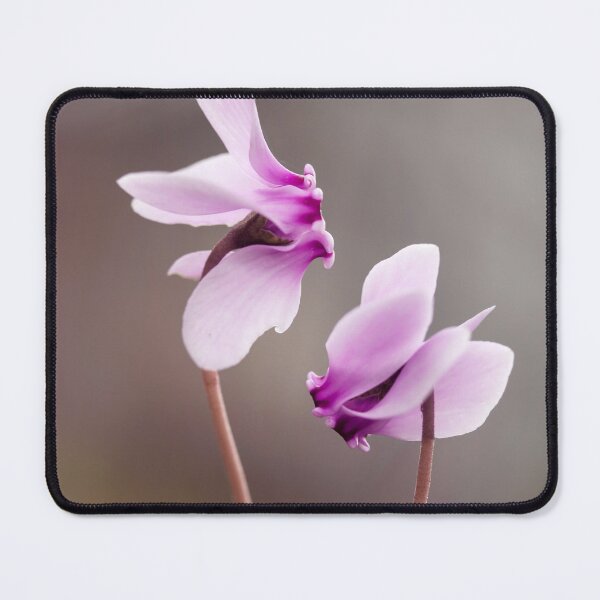 Item preview, Pink Cyclamen designed and sold by Catrinann.