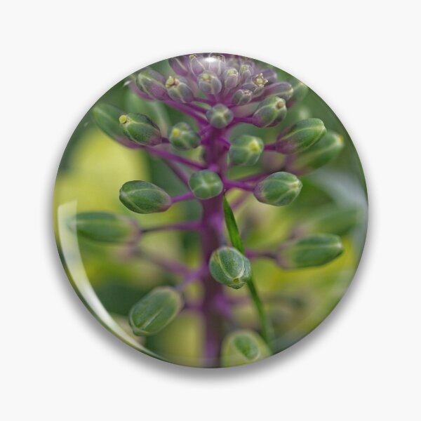 Item preview, After Rain at the Arboretum (20) designed and sold by Wolf Sverak Photography.
