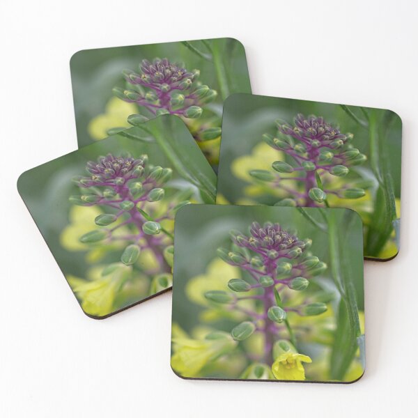 Item preview, After Rain at the Arboretum (20) designed and sold by Wolf Sverak Photography.