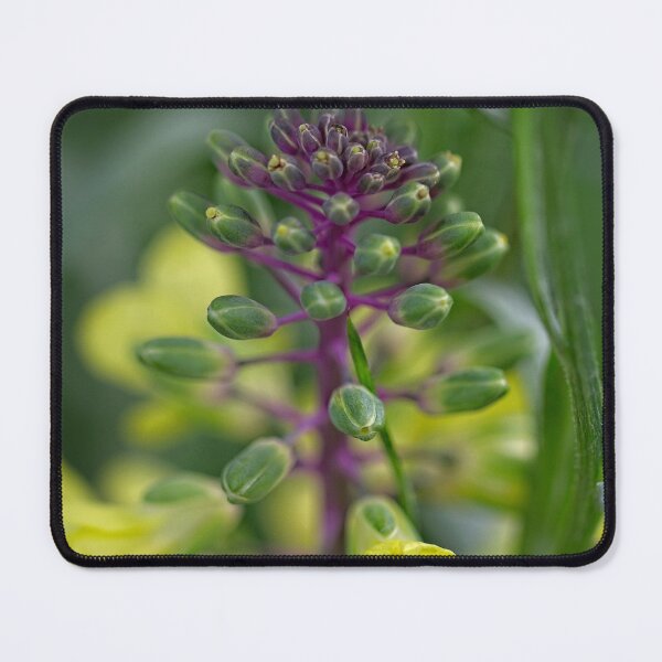 Item preview, After Rain at the Arboretum (20) designed and sold by Wolf Sverak Photography.