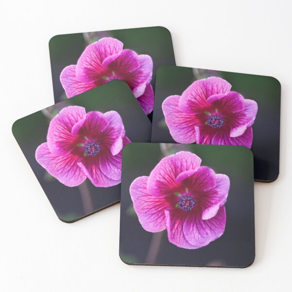 Item preview, After Rain at the Arboretum (19) designed and sold by Wolf Sverak Photography.