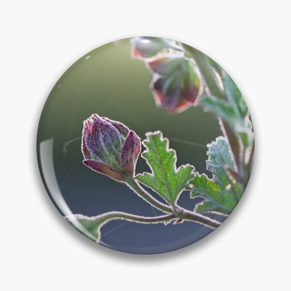 Item preview, After Rain at the Arboretum (18) designed and sold by Wolf Sverak Photography.