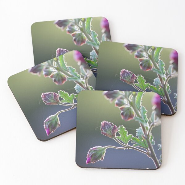Item preview, After Rain at the Arboretum (18) designed and sold by Wolf Sverak Photography.