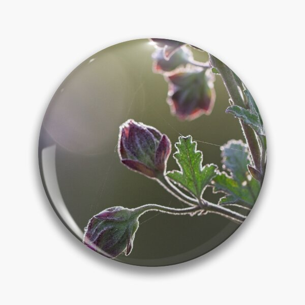 Item preview, After Rain at the Arboretum (17) designed and sold by Wolf Sverak Photography.
