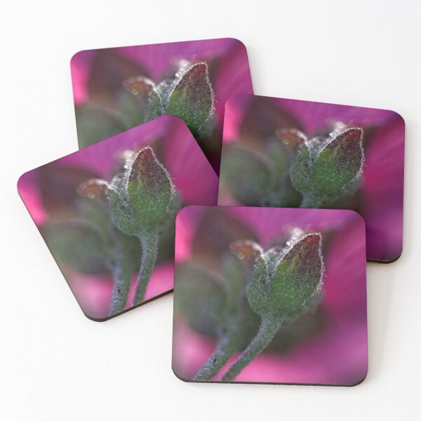 Item preview, After Rain at the Arboretum (16) designed and sold by Wolf Sverak Photography.