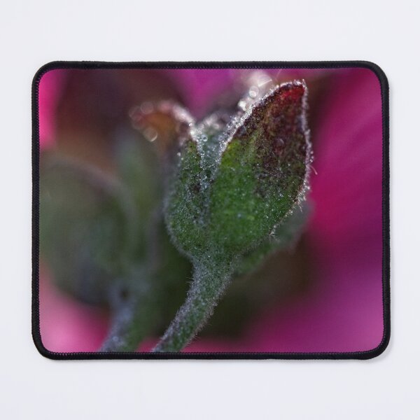 Item preview, After Rain at the Arboretum (16) designed and sold by Wolf Sverak Photography.