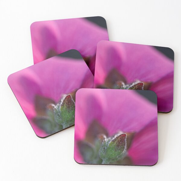 Item preview, After Rain at the Arboretum (15) designed and sold by Wolf Sverak Photography.