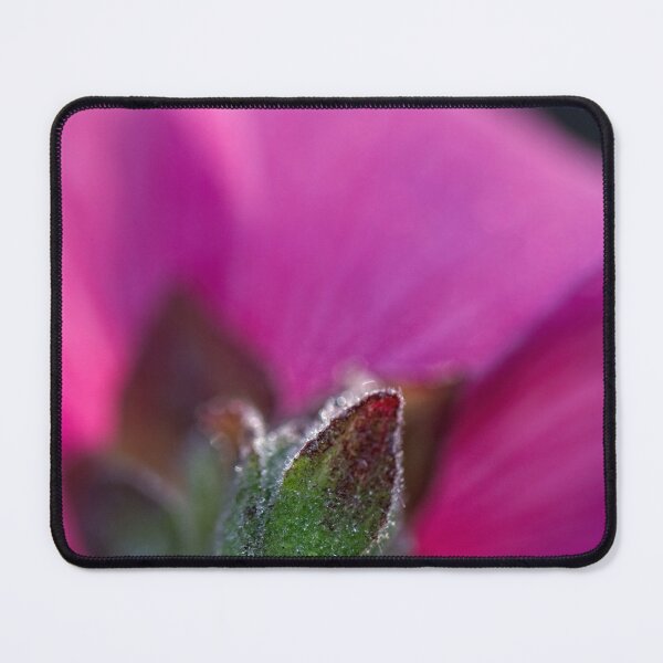 Item preview, After Rain at the Arboretum (15) designed and sold by Wolf Sverak Photography.