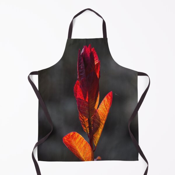 Item preview, After Rain at the Arboretum (14) designed and sold by Wolf Sverak Photography.