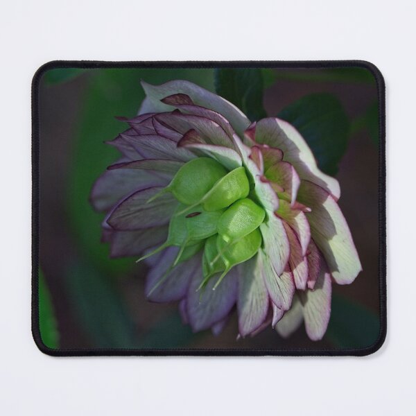 Item preview, After Rain at the Arboretum (13) designed and sold by Wolf Sverak Photography.