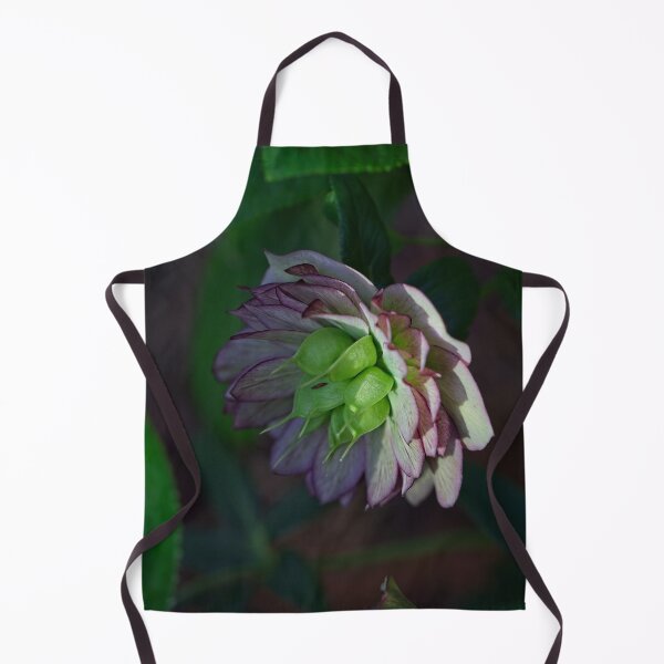 Item preview, After Rain at the Arboretum (13) designed and sold by Wolf Sverak Photography.