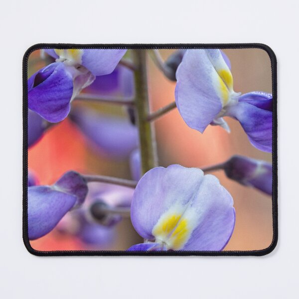 Item preview, After Rain at the Arboretum (12) designed and sold by Wolf Sverak Photography.