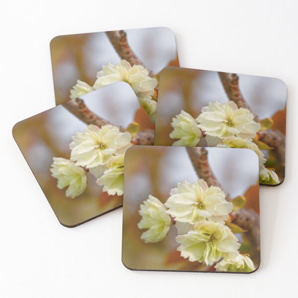 Item preview, After Rain at the Arboretum (10) designed and sold by Wolf Sverak Photography.