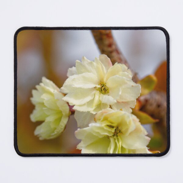 Item preview, After Rain at the Arboretum (10) designed and sold by Wolf Sverak Photography.