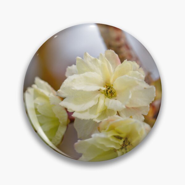 Item preview, After Rain at the Arboretum (10) designed and sold by Wolf Sverak Photography.