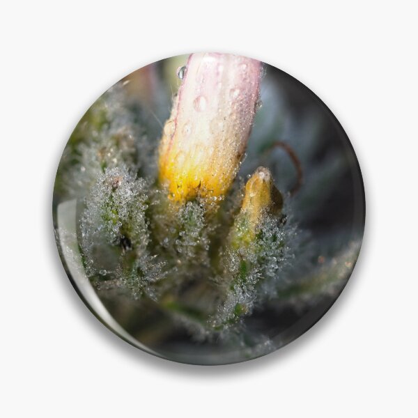 Item preview, After Rain at the Arboretum (9) designed and sold by Wolf Sverak Photography.