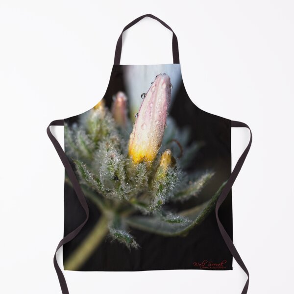 Item preview, After Rain at the Arboretum (9) designed and sold by Wolf Sverak Photography.
