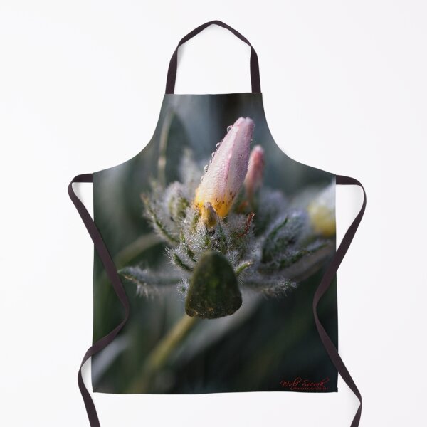Item preview, After Rain at the Arboretum (8) designed and sold by Wolf Sverak Photography.
