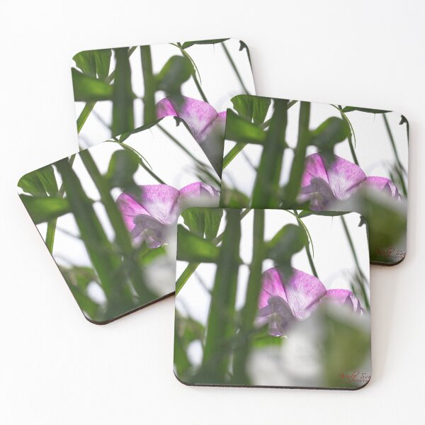 Item preview, After Rain at the Arboretum (7) designed and sold by Wolf Sverak Photography.