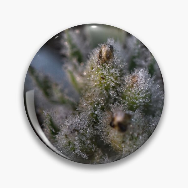 Item preview, After Rain at the Arboretum (6) designed and sold by Wolf Sverak Photography.