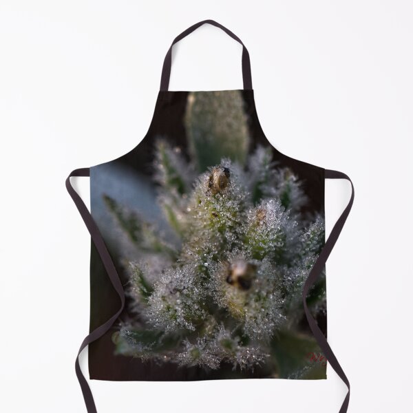 Item preview, After Rain at the Arboretum (6) designed and sold by Wolf Sverak Photography.