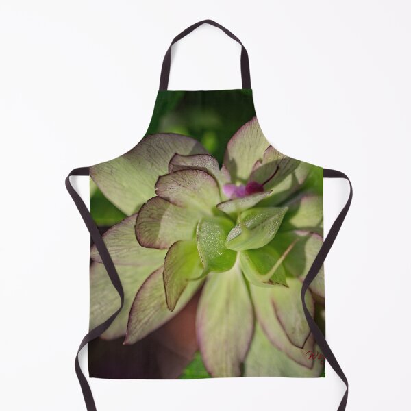 Item preview, After Rain at the Arboretum (5) designed and sold by Wolf Sverak Photography.