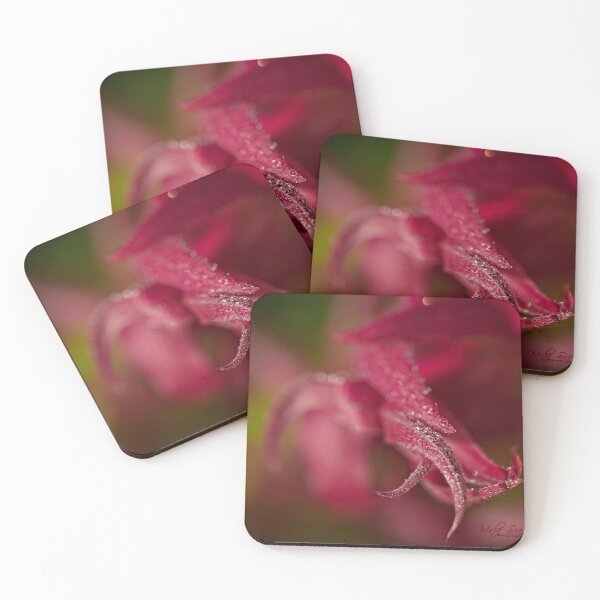 Item preview, After Rain at the Arboretum (4) designed and sold by Wolf Sverak Photography.
