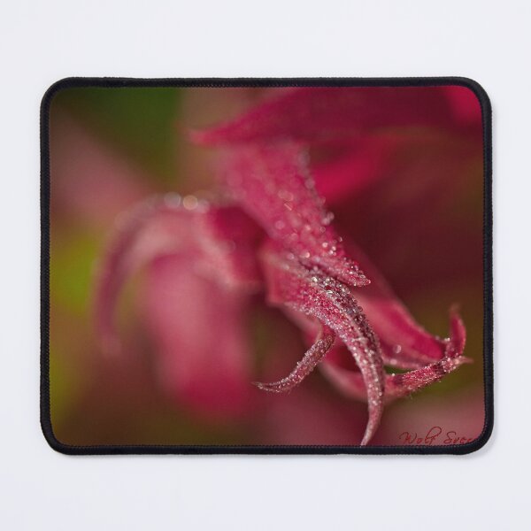 Item preview, After Rain at the Arboretum (4) designed and sold by Wolf Sverak Photography.