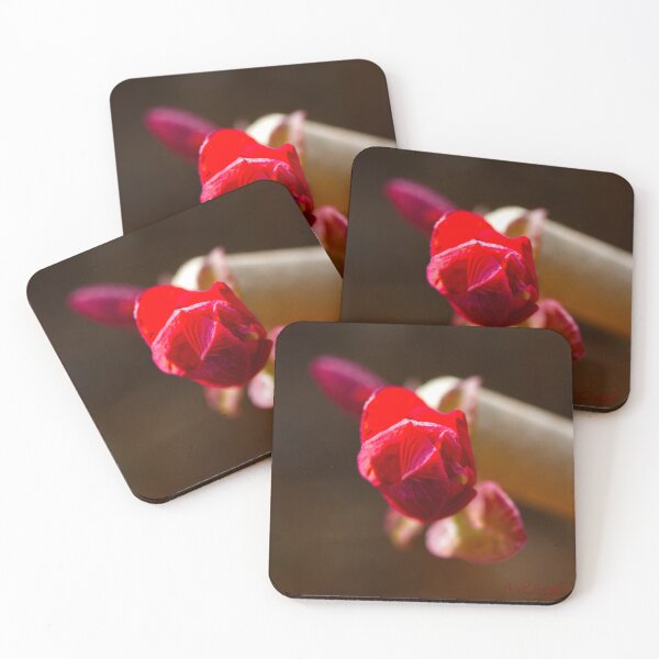 Item preview, After Rain at the Arboretum (3) designed and sold by Wolf Sverak Photography.
