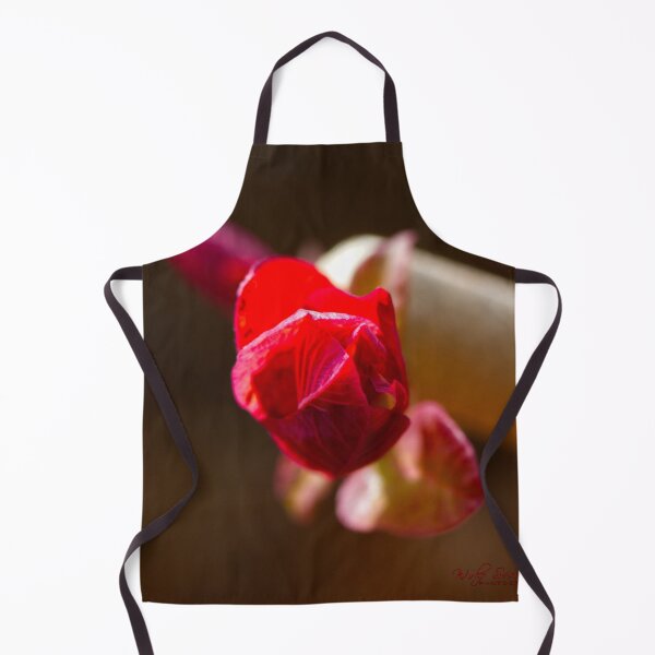 Item preview, After Rain at the Arboretum (3) designed and sold by Wolf Sverak Photography.