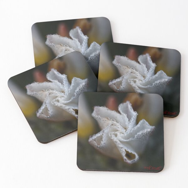 Item preview, After Rain at the Arboretum (1) designed and sold by Wolf Sverak Photography.