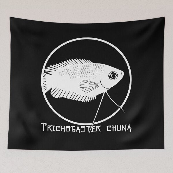 Item preview, Honey Gourami (Trichogaster chuna) designed and sold by Finscination.