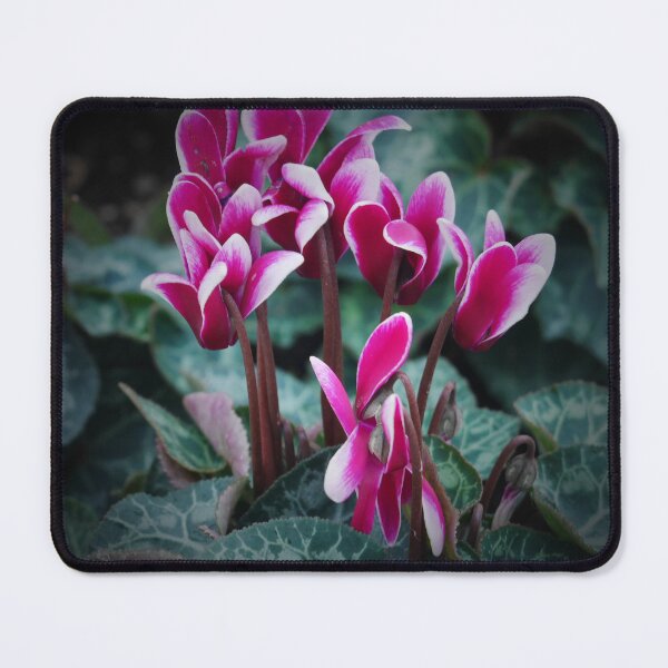 Item preview, Pink Perfects designed and sold by amevargo.