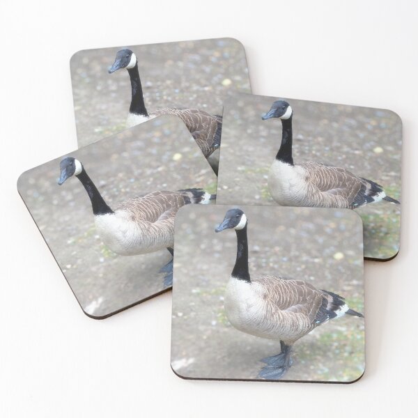 Item preview, Canada Goose at The Tarn - Eltham London England designed and sold by TonyCrehan.