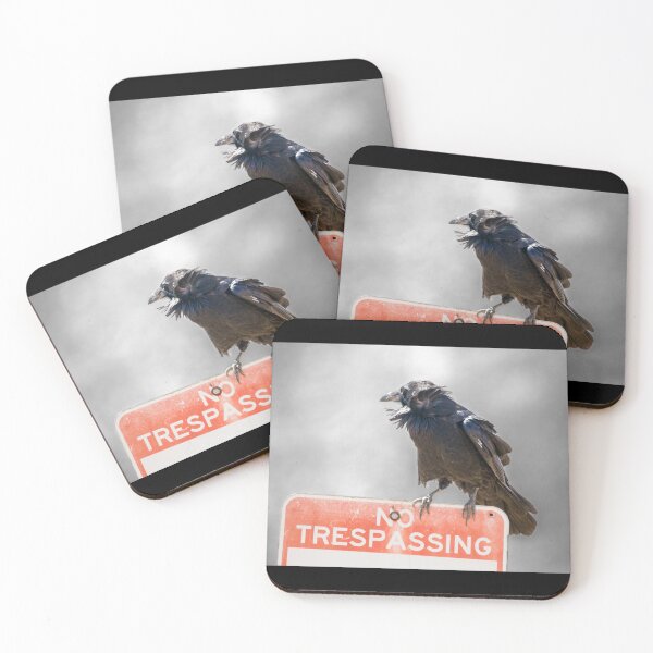 Item preview, Crow Perched on No Trespassing Sign designed and sold by CarolM.